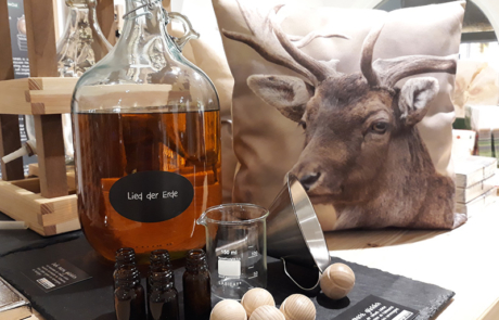 Showroom Steyr Showroom Steyr